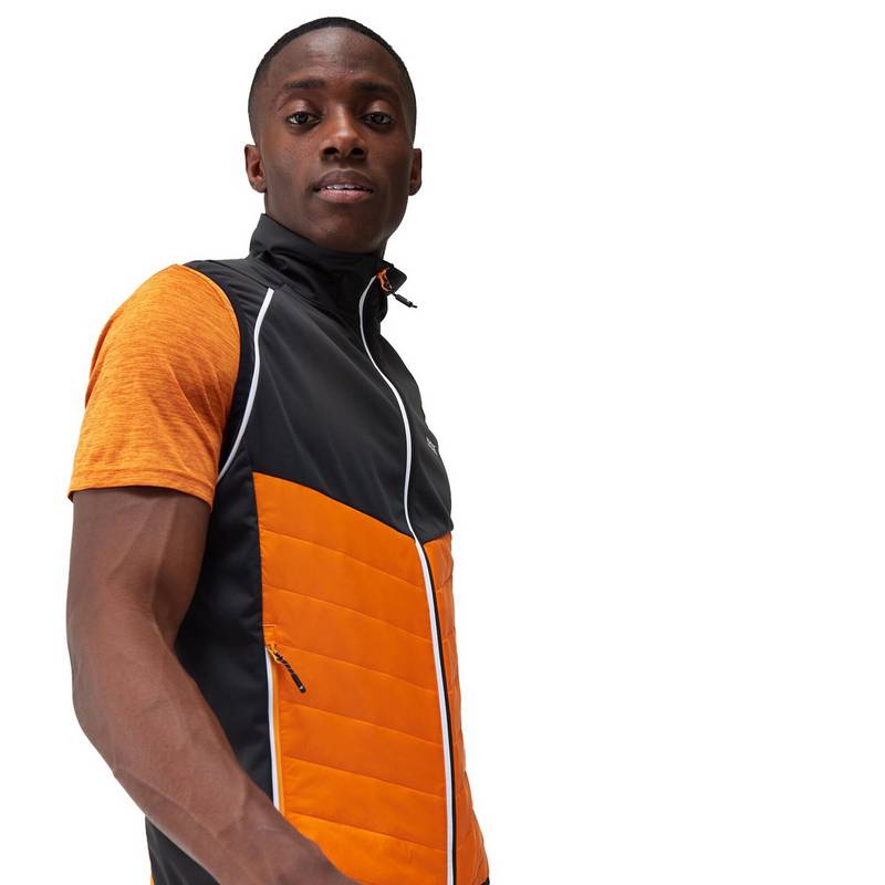 Regatta Steren Funktionsjacke Herren