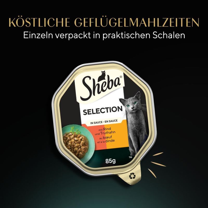 Sparpaket Sheba Schale 44 x 85 g zu TOP-Preisen