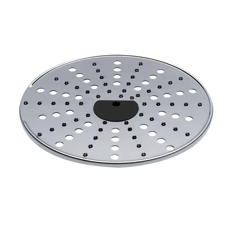 DISQUE PARMESAN