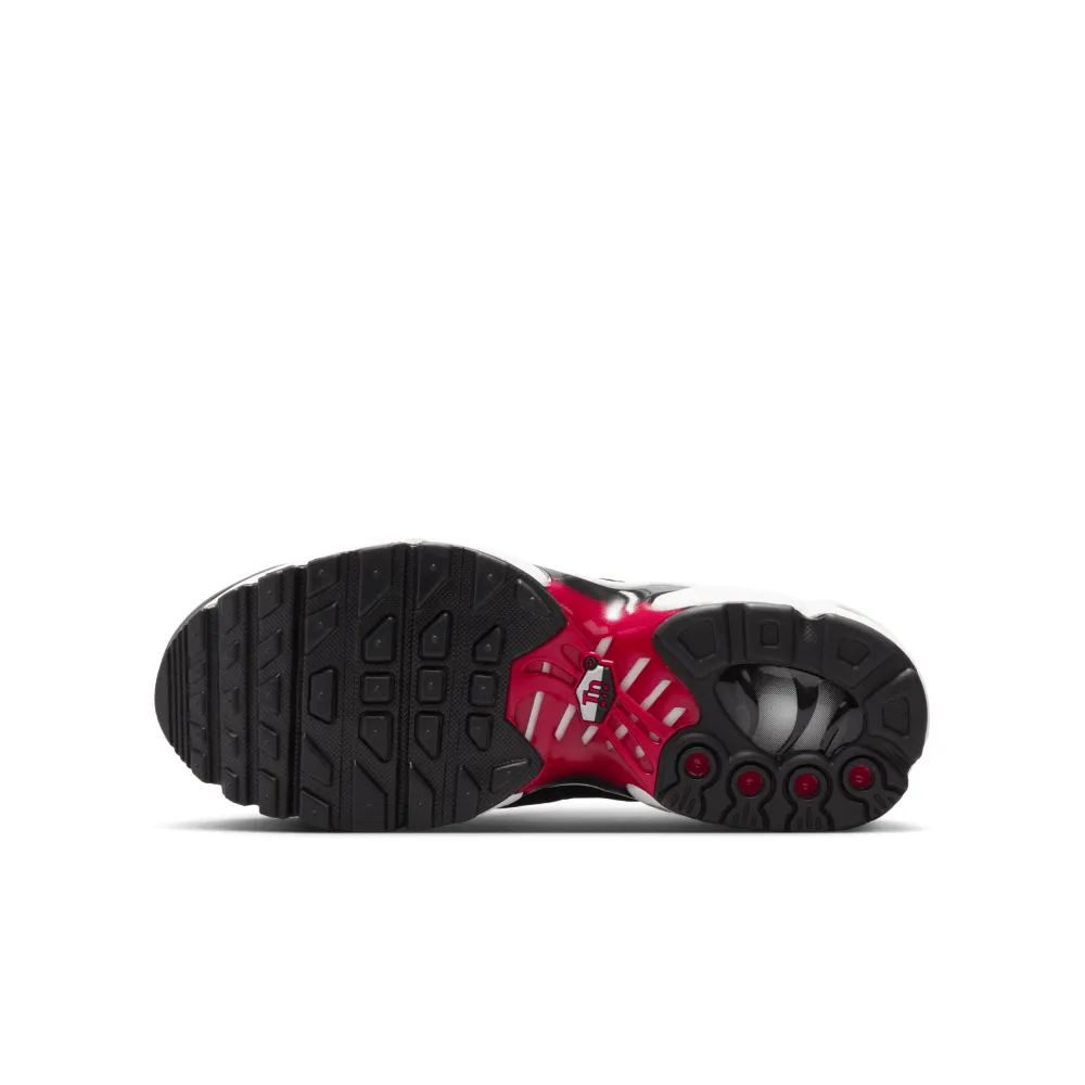 Nike Air Max Plus CD0609-027 / grau
