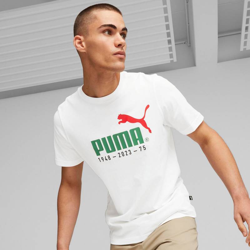 PUMA No. 1 Logo Celebration T-Shirt Herren