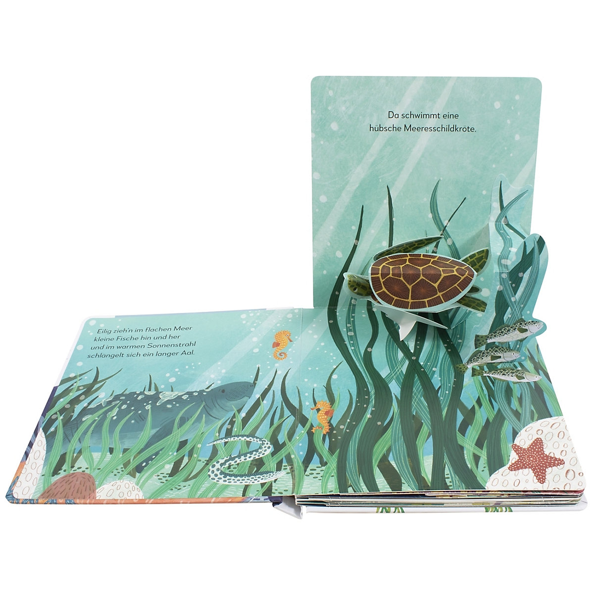 Mein Pop-up-Buch zum Staunen. Wer lebt im  Meer