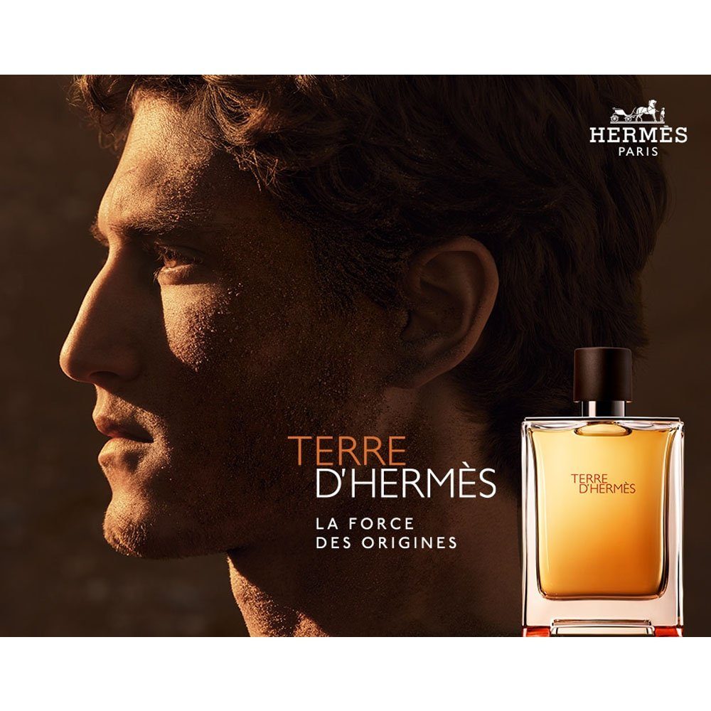 HERMÈS Eau de Toilette Hermès Terre d´Hermès Eau de Toilette 100ml, Glasflakon