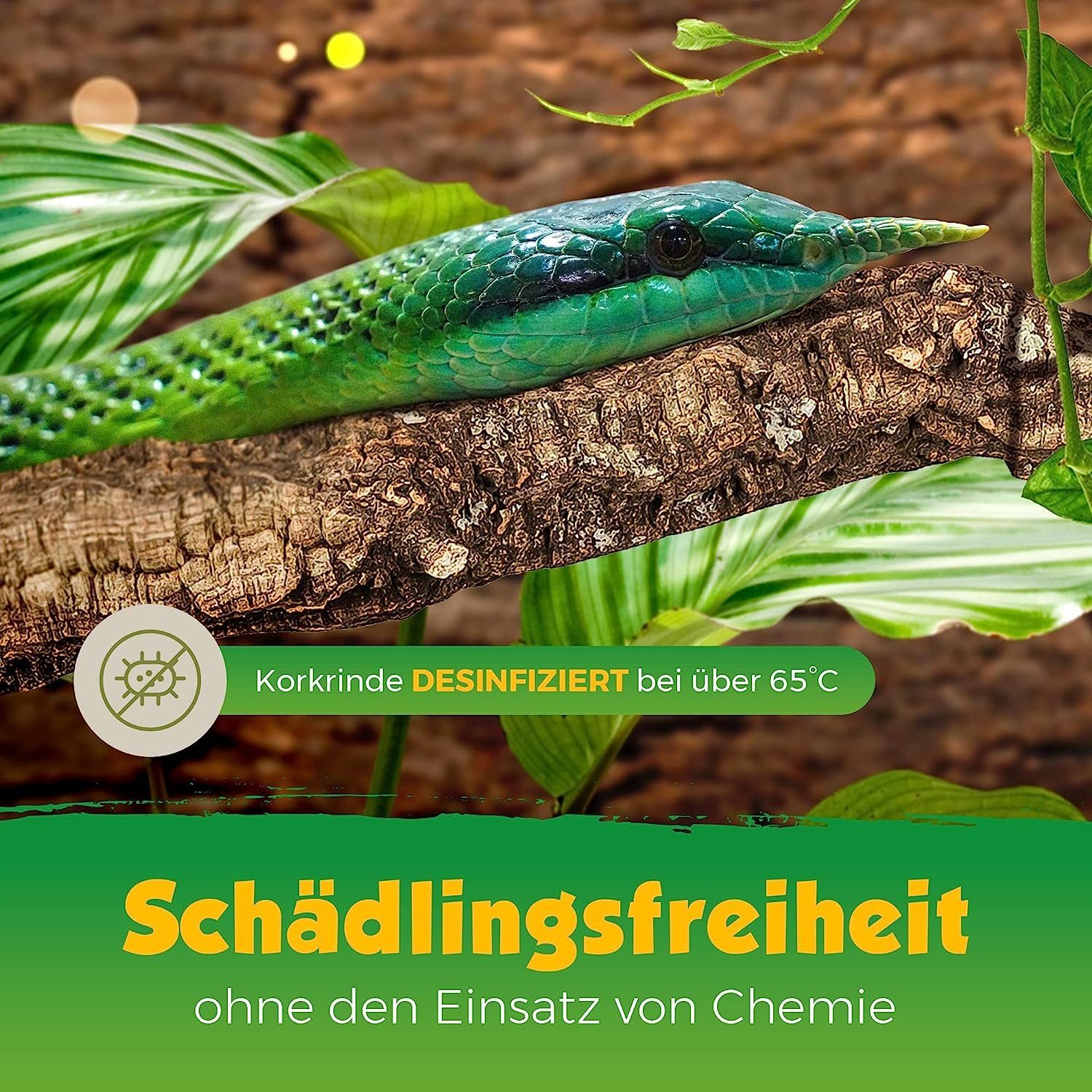 Kork-Deko.de Terrariendeko Ast des Korkbaums (1m Länge) - hitzedesinfiziert und schädlingsfrei