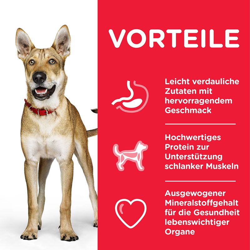 Hill's Science Plan Adult 1+ Performance mit Huhn