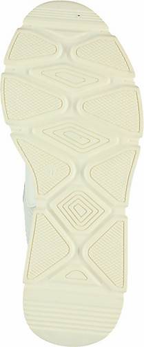 Steve Madden Sneaker