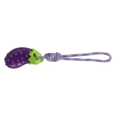 Trixie Hundespielzeug Aubergine am Seil