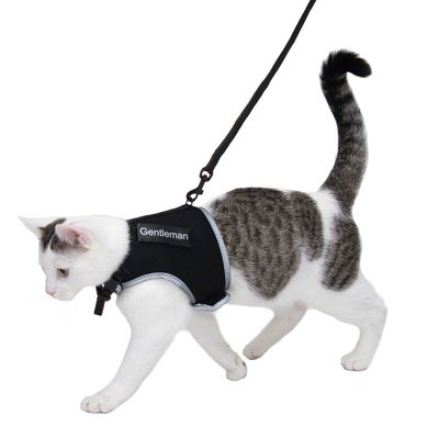 Trixie Katzengeschirr XCat XL mit Sticker und Leine