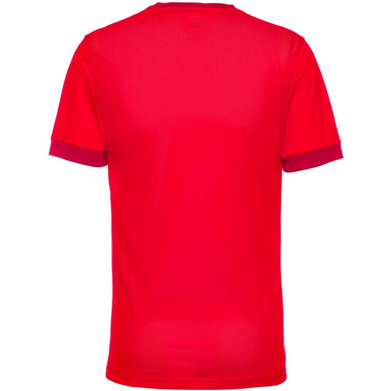 PUMA teamGOAL 23 Funktionsshirt Herren