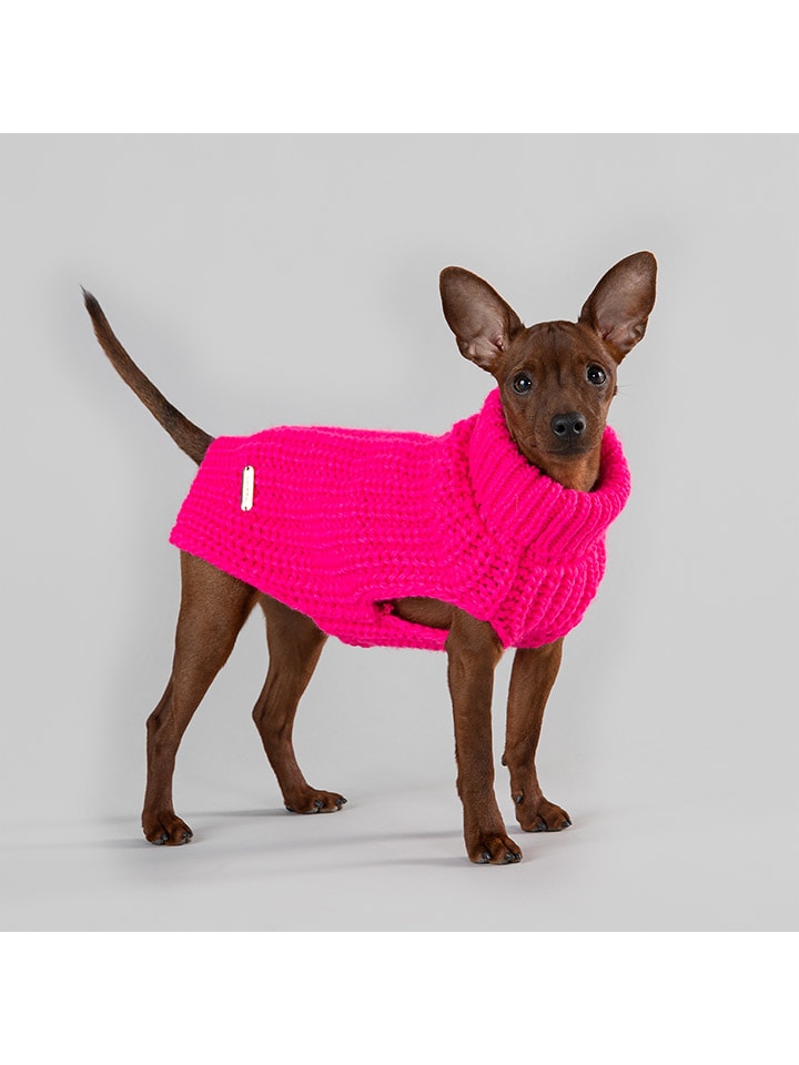 Paikka Hunde-Wollpullover in Pink günstig kaufen