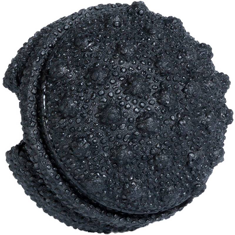 BLACKROLL Twister Faszienball