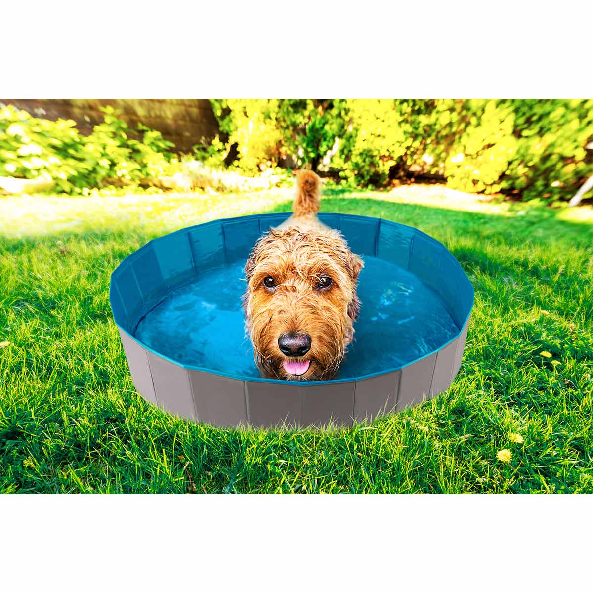 ZooRoyal Hundepool günstig kaufen