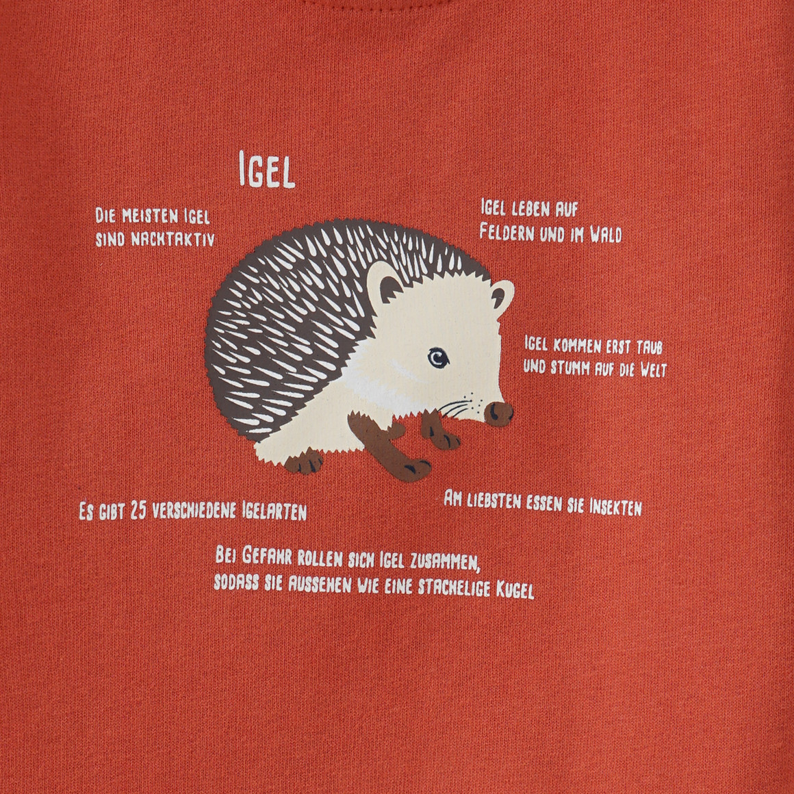 Baby Sweatshirt mit Igel-Motiv