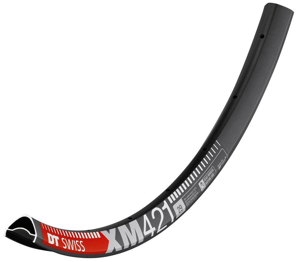 DT Swiss XM 421 Disc 29