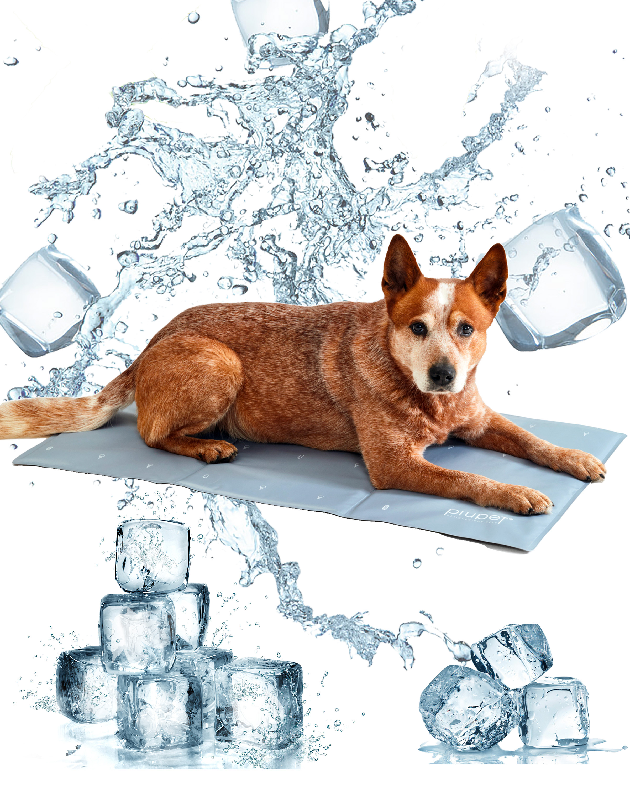 PIUPET Hundematten PIUPET Kühlmatte 50 cm, 2 cm, 2 cm