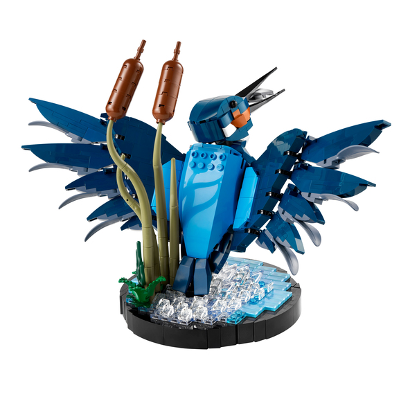 Icons Eisvogel 10331