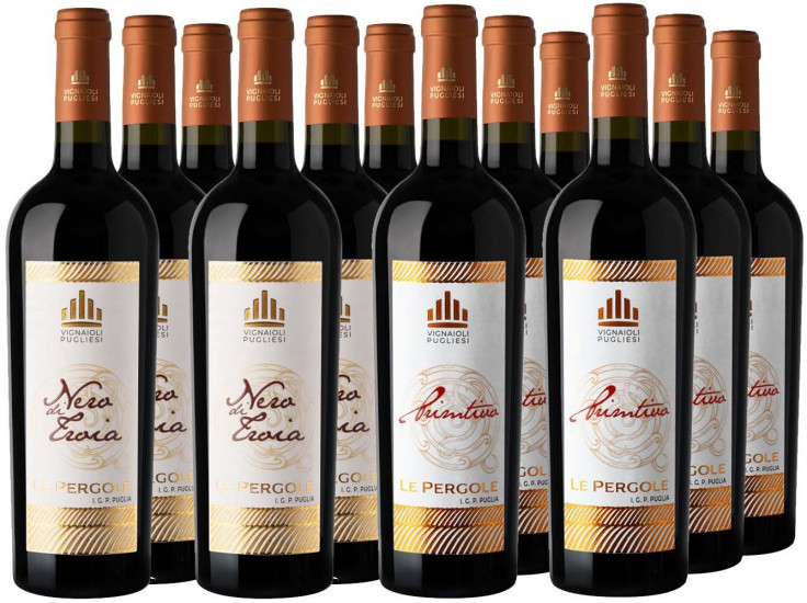 Rotwein-Paket - Vignaioli Pugliesi
