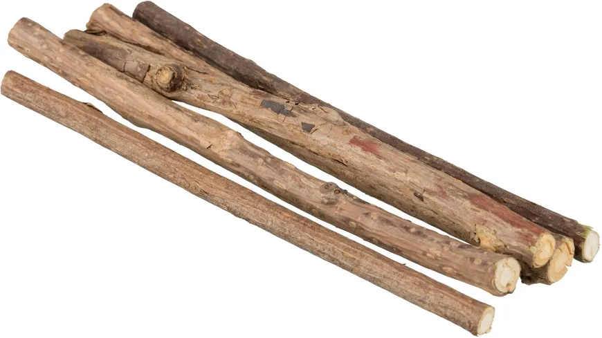 Trixie Matatabi Kaustangen 10 g Katzenzubehör 10 g