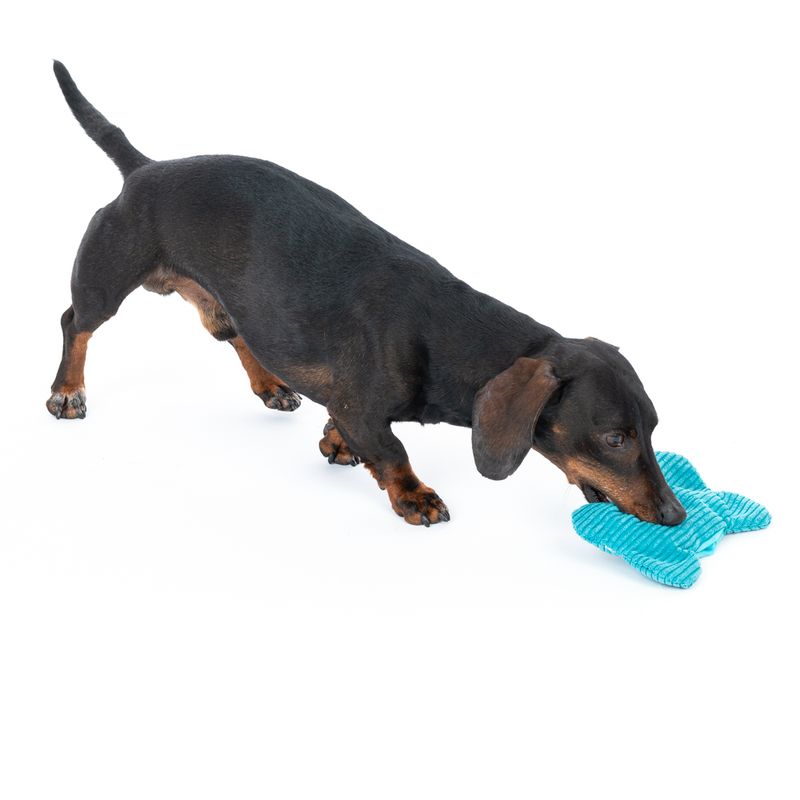 TIAKI Hundespielzeug Bite Me Plüschknochen