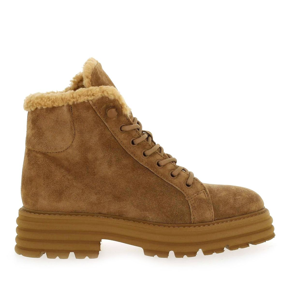 Alpe  2507 - Camel