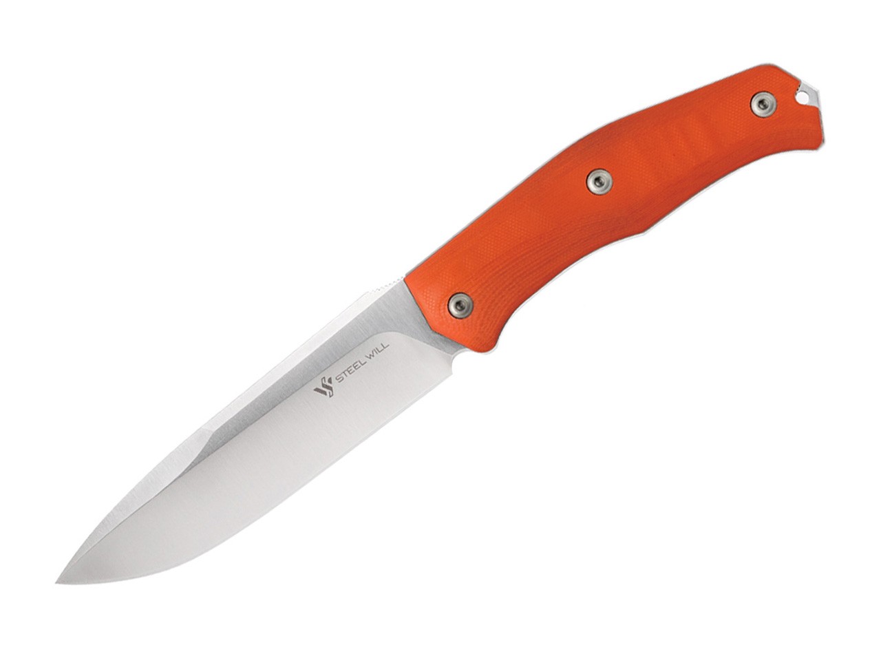 Gekko 1533