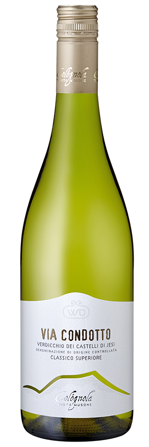 Via Condotto Verdicchio dei Castelli di Jesi 2022