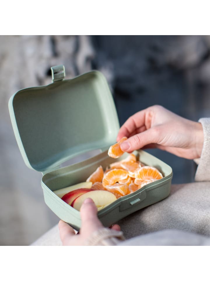 koziol BASIC - Lunchbox in organic pink günstig kaufen onesize