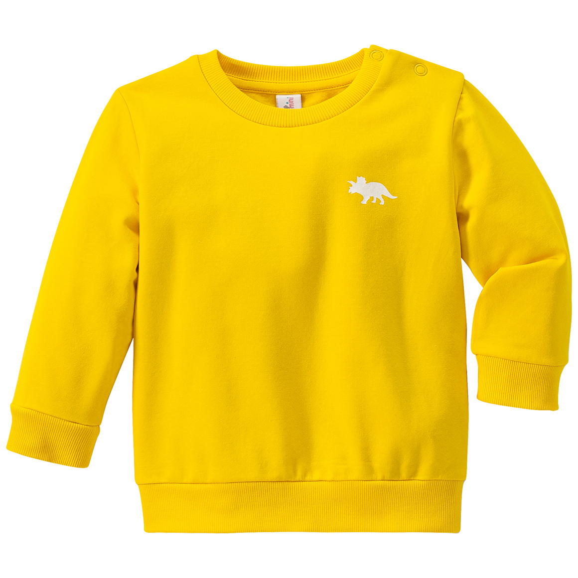 Baby Sweatshirt mit kleinem Dino