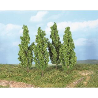 Pappeln 13 cm (4 Stk.)