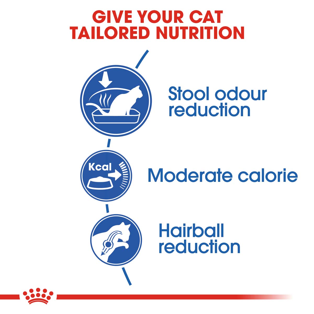 ROYAL CANIN INDOOR Trockenfutter 10kg + INDOOR Sterilised Nassfutter 48x85g
