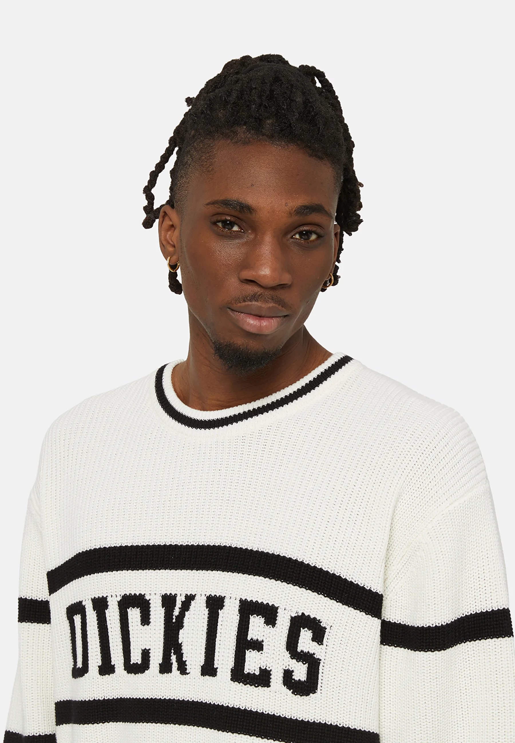 Dickies MELVERN - Suéter