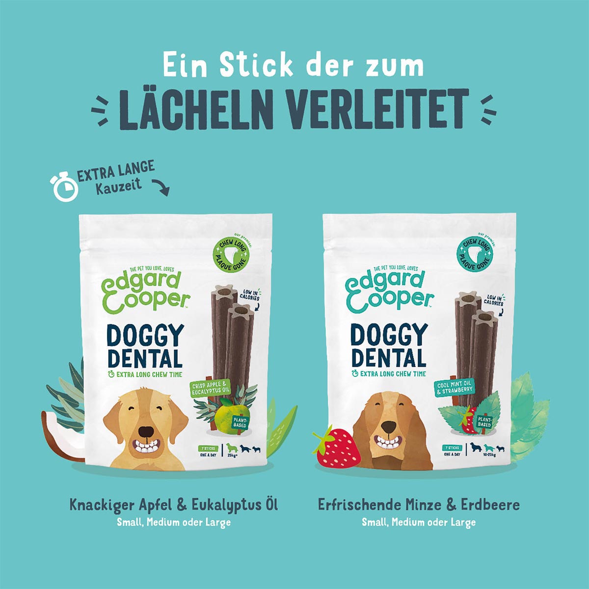 Edgard & Cooper Doggy Dental Apfel/Eukalyptus M bei ZooRoyal