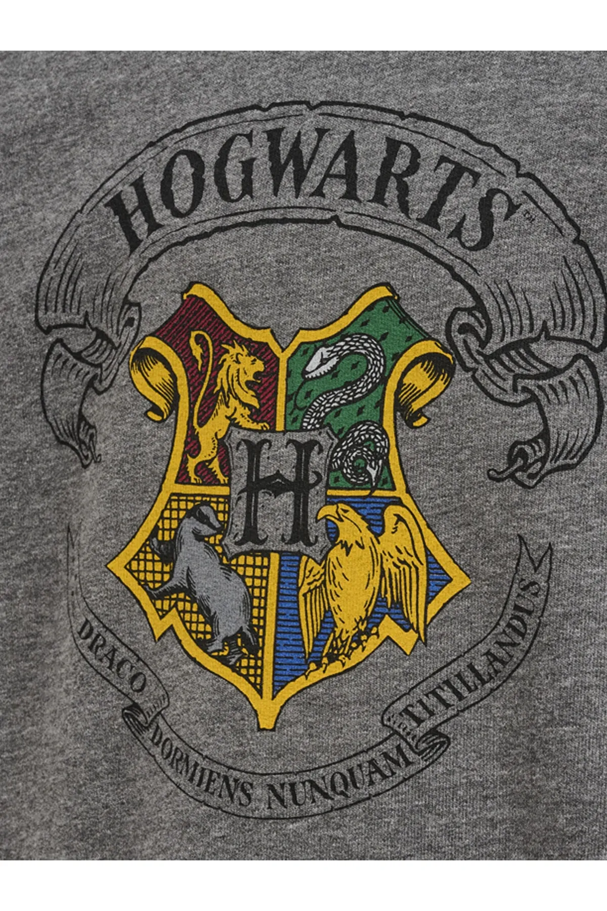 hummel  hmlHARRY POTTER FRÜHLINGSTRAININGSANZUG