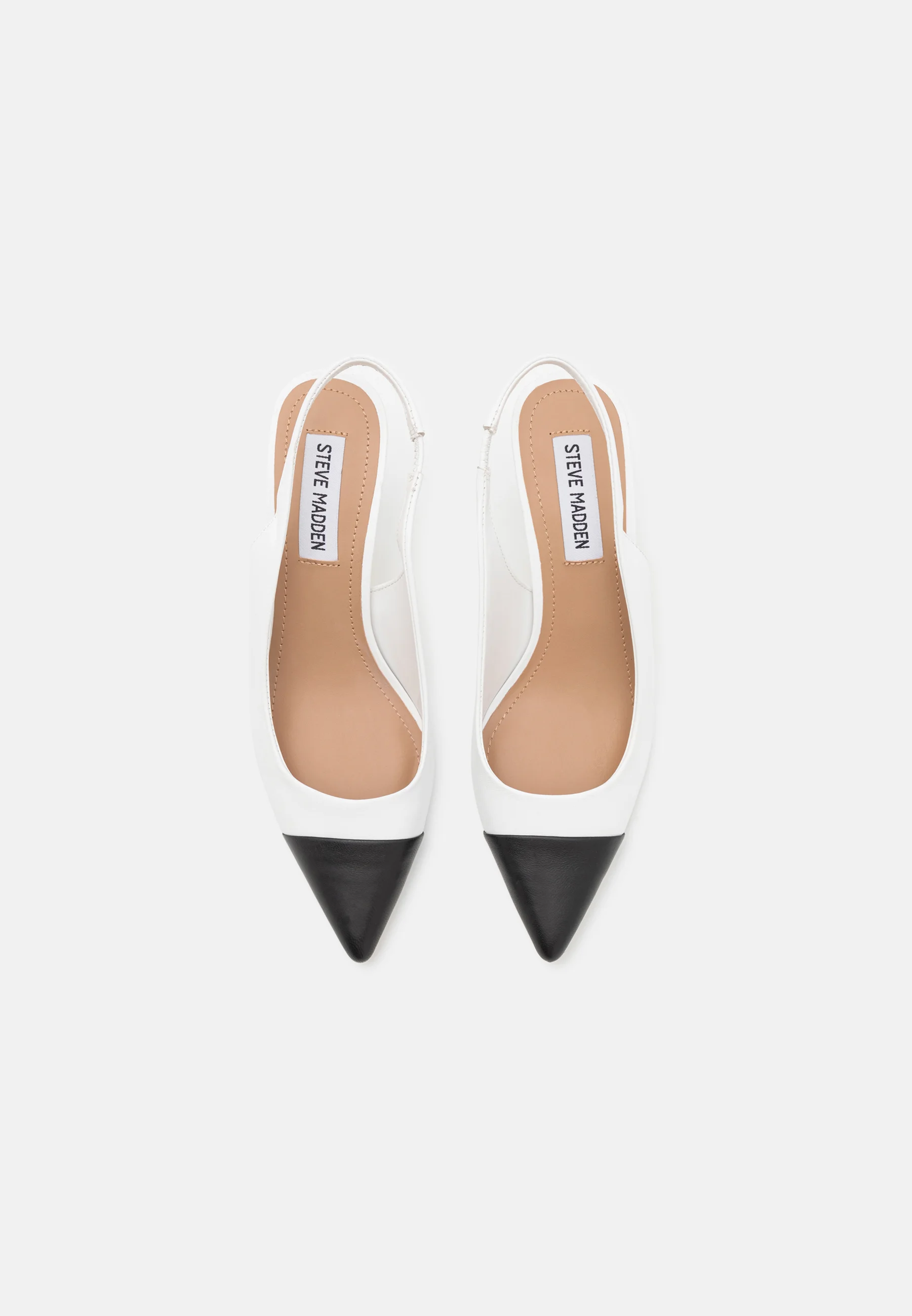 Steve Madden KLING - Zapatos de tacón