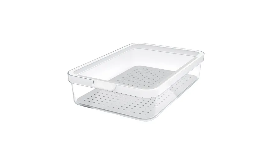 rotho Kühlschrankorganizer 2,6l Cauma