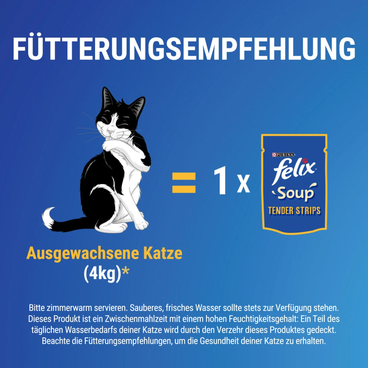 FELIX Soup Tender Strips Gemischte Vielfalt kaufen