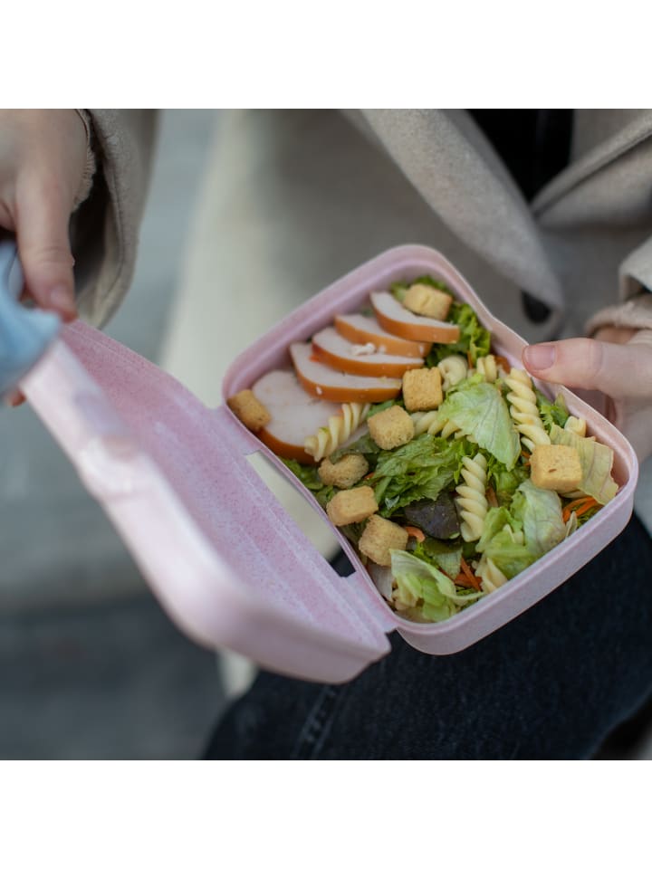 koziol BASIC - Lunchbox in organic pink günstig kaufen onesize