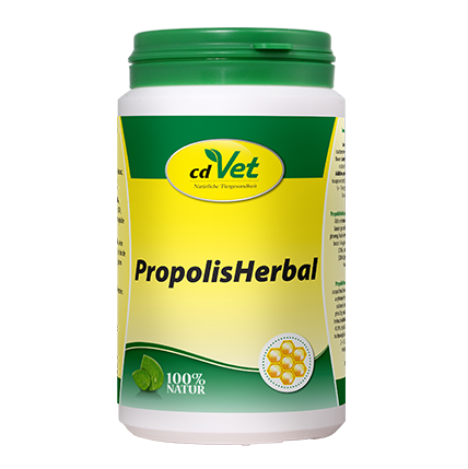 cdVet Ergänzungsfutter & Aufzucht cdVet PropolisHerbal 20g 190 g
