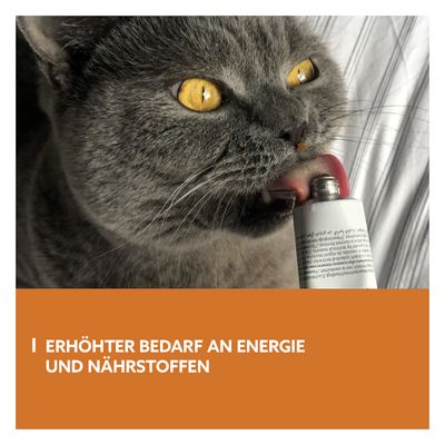 GimCat Energy Paste