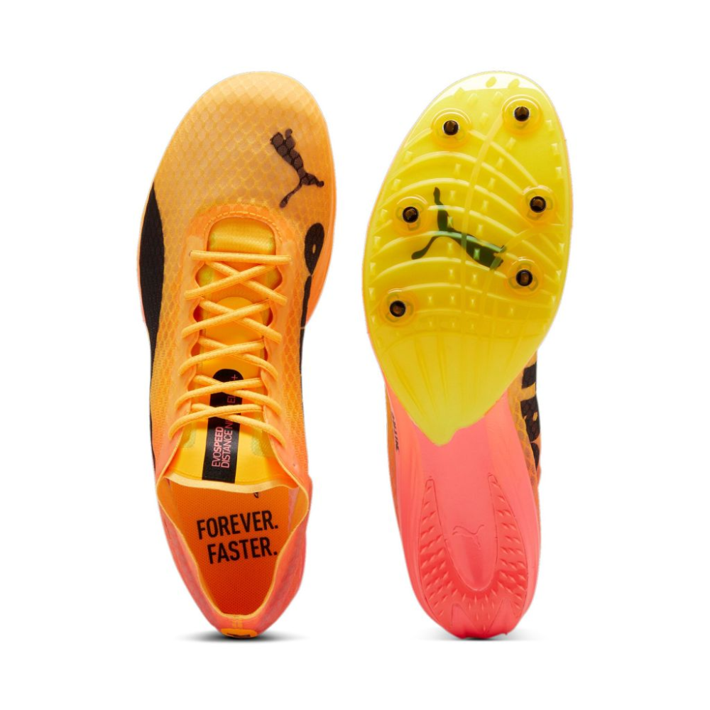 PUMA evoSPEED Distance Nitro 380000-001 / orange
