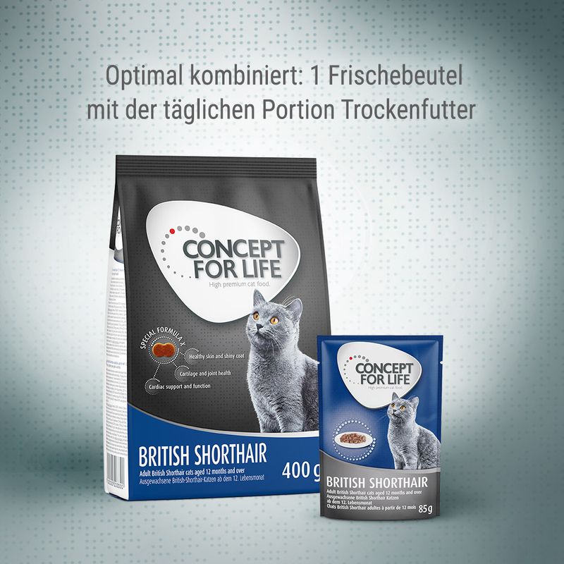 Concept for Life British Shorthair Adult - Verbesserte Rezeptur