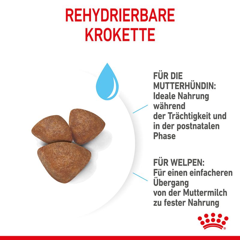Royal Canin Mini Starter Mother & Babydog