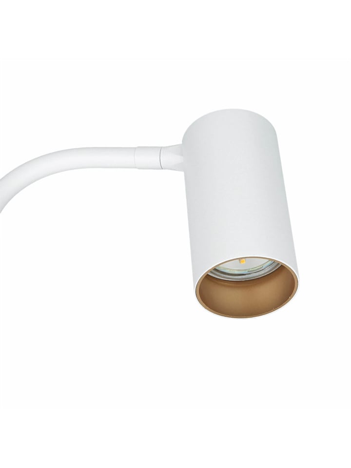Licht-Erlebnisse Stehlampe in Weiß Gold günstig kaufen onesize