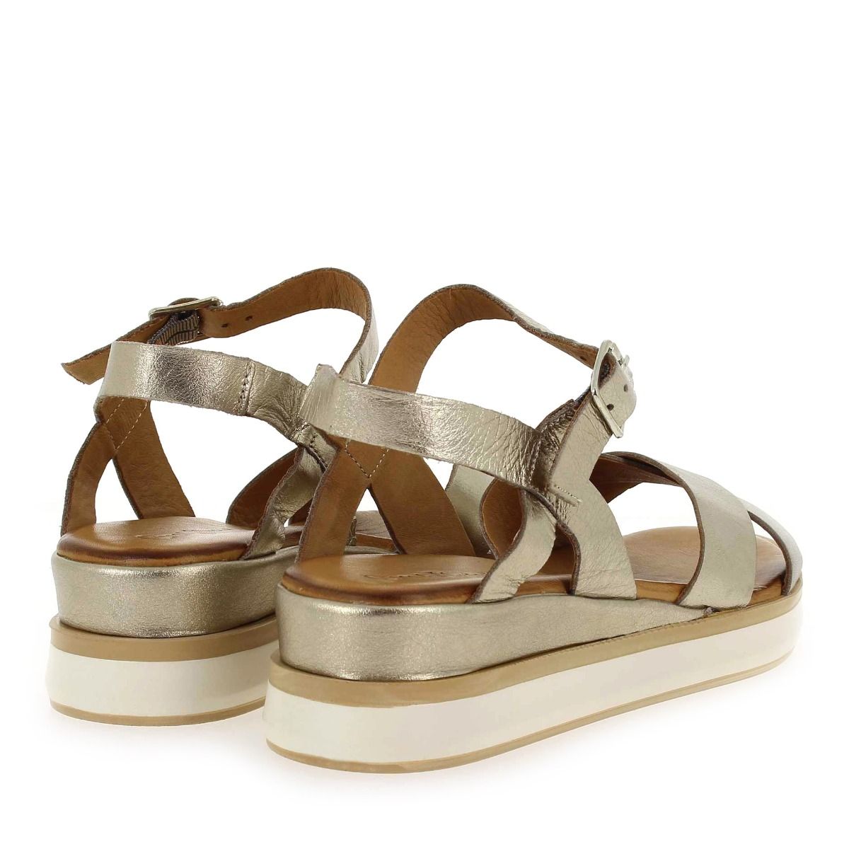 Coco & Abricot  MEIGNEUX - Bronze