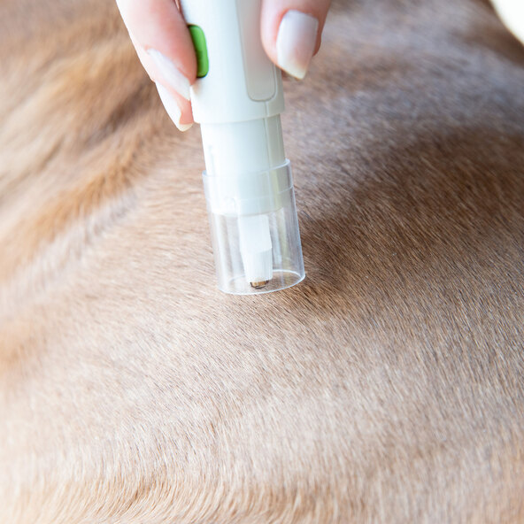 Zeckendreher für Tiere