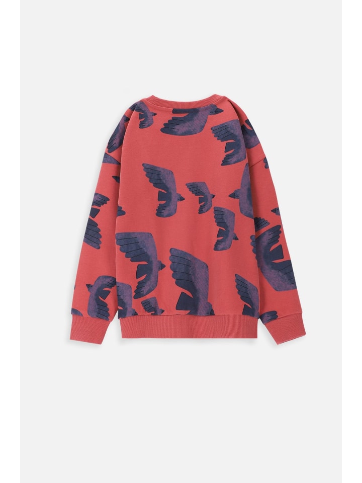 Coccodrillo Sweatshirt in dunkelrot günstig kaufen