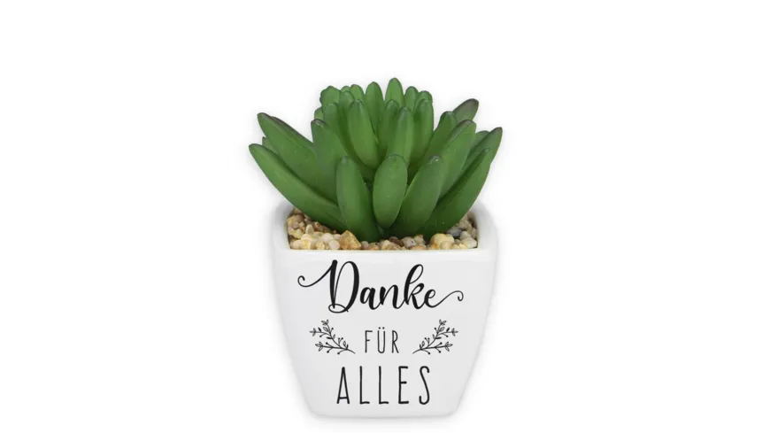 H&H Sukkulenten - Danke