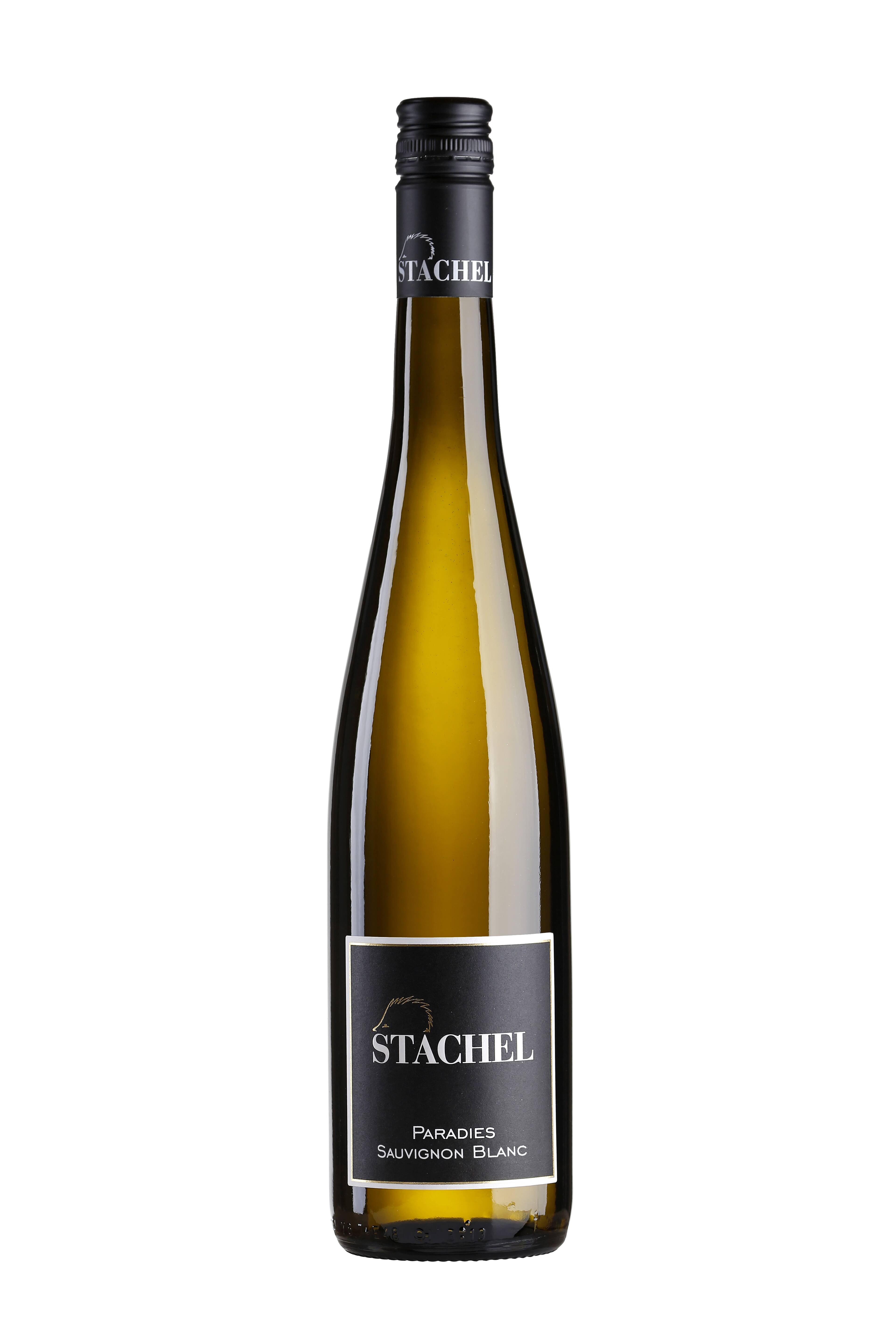 Weingut Erich Stachel Sauvignon Blanc Paradies trocken 2020