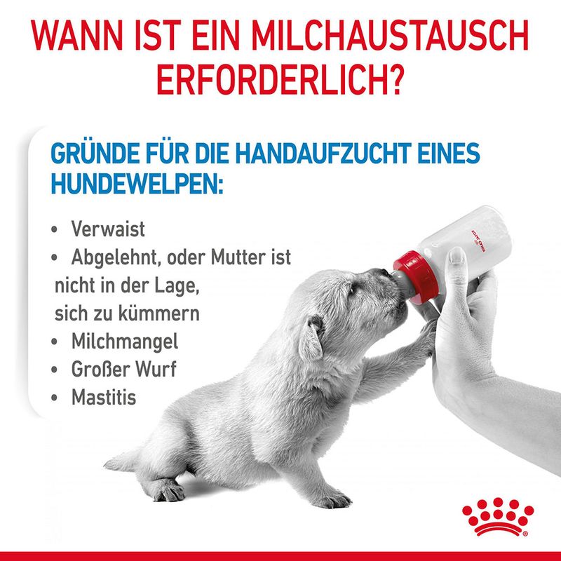 Royal Canin Babydog Milk