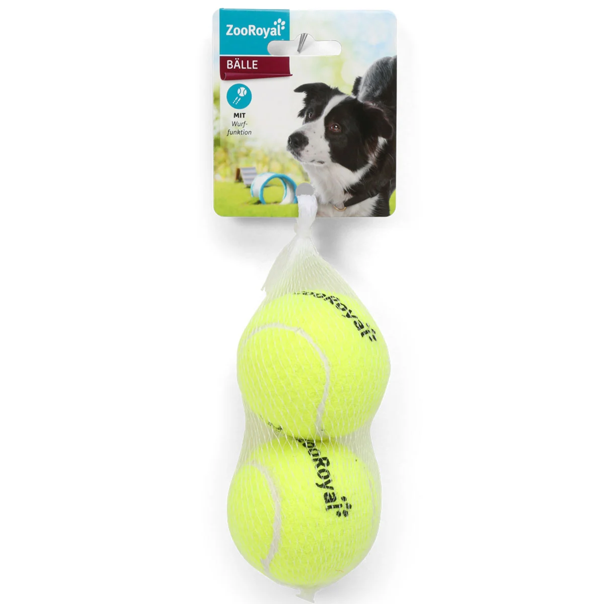 ZooRoyal Tennisbälle Set günstig kaufen
